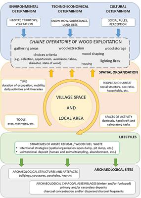 Taming Trees, Shaping Forests, and Managing Woodlands as Resources for Understanding Past Societies. Contributions and Current Limits of Dendro-Anthracology and Anthraco-Isotopy
